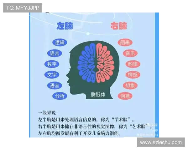 篮球着地空间规则的具体定义与判罚逻辑解析 篮球着地空间规则的具体定义与判罚逻辑解析
