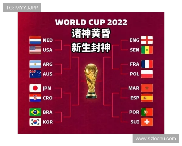 世界杯B组卡塔尔冲击16强前景预测 世界杯B组卡塔尔冲击16强前景预测